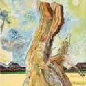 Cedar
